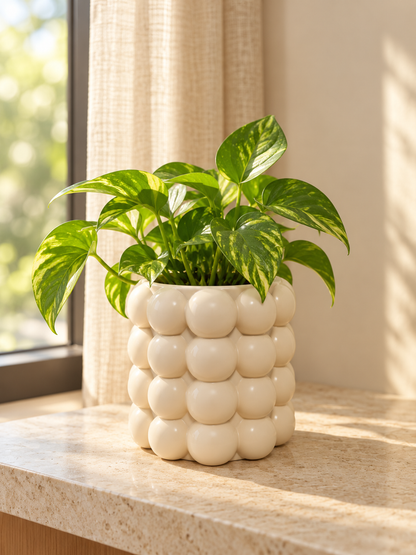 Maceta Ceramico burbujas